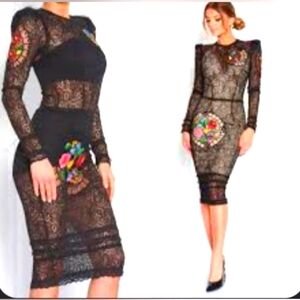 Sugarbird Lace sSheer Dress